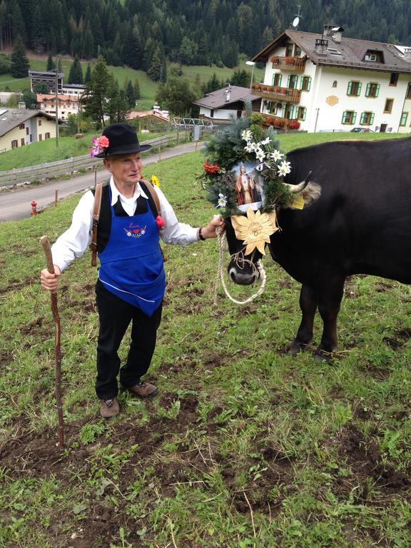 索拉加Agritur Ciasa Do Pare别墅 外观 照片